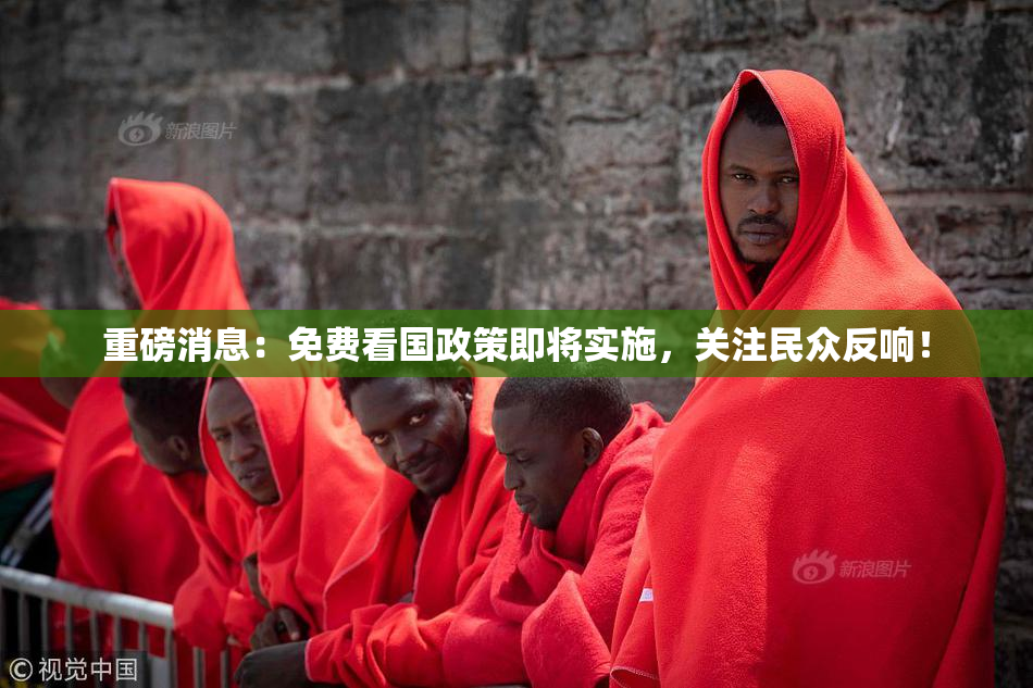 重磅消息：免费看国政策即将实施，关注民众反响！