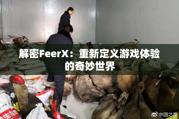 解密FeerX：重新定义游戏体验的奇妙世界