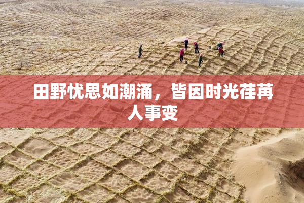 田野忧思如潮涌，皆因时光荏苒人事变