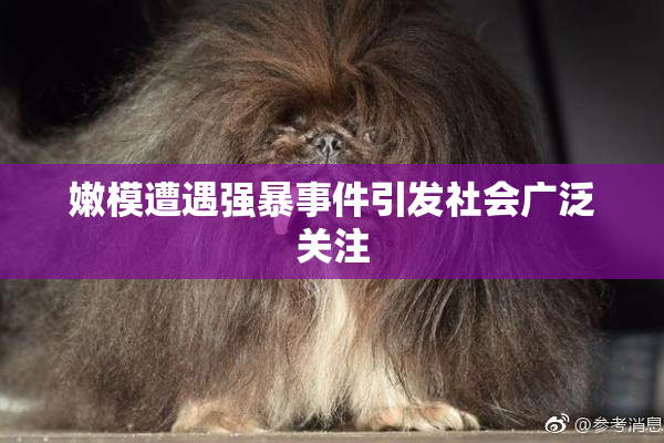 嫩模遭遇强暴事件引发社会广泛关注