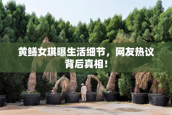 黄鳝女琪曝生活细节，网友热议背后真相！