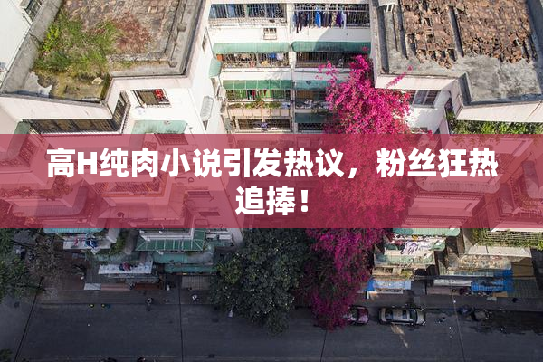 高H纯肉小说引发热议，粉丝狂热追捧！