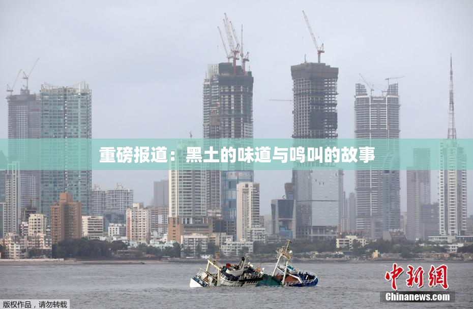重磅报道：黑土的味道与鸣叫的故事