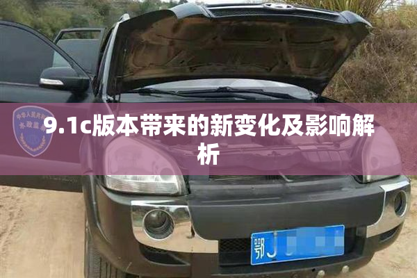 9.1c版本带来的新变化及影响解析