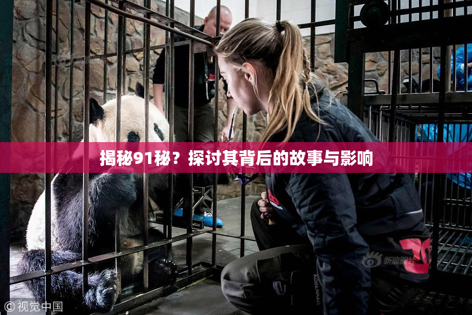 揭秘91秘？探讨其背后的故事与影响