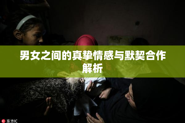 男女之间的真挚情感与默契合作解析