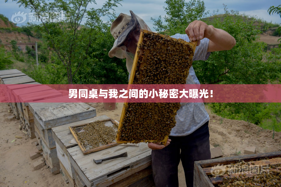 男同桌与我之间的小秘密大曝光！