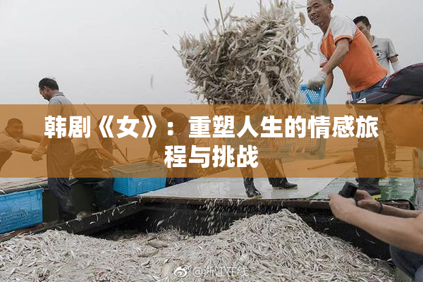韩剧《女》：重塑人生的情感旅程与挑战