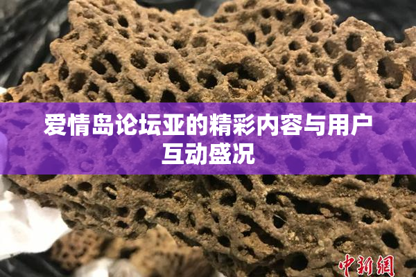 爱情岛论坛亚的精彩内容与用户互动盛况