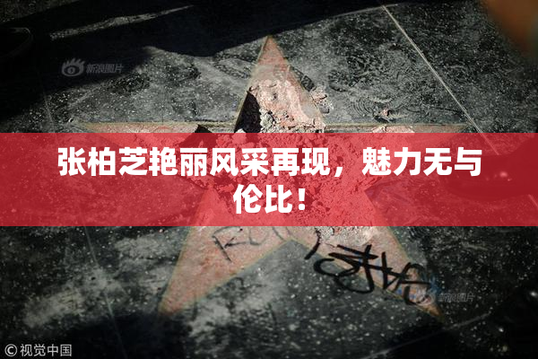 张柏芝艳丽风采再现，魅力无与伦比！