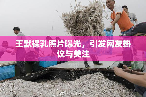 王默裸乳照片曝光，引发网友热议与关注