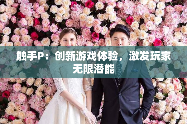 触手P：创新游戏体验，激发玩家无限潜能