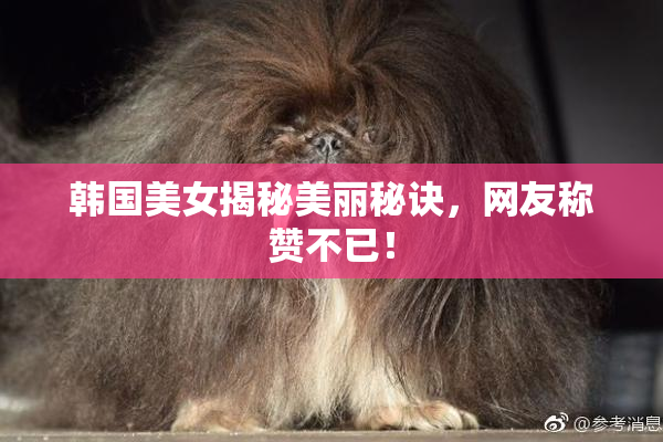 韩国美女揭秘美丽秘诀，网友称赞不已！