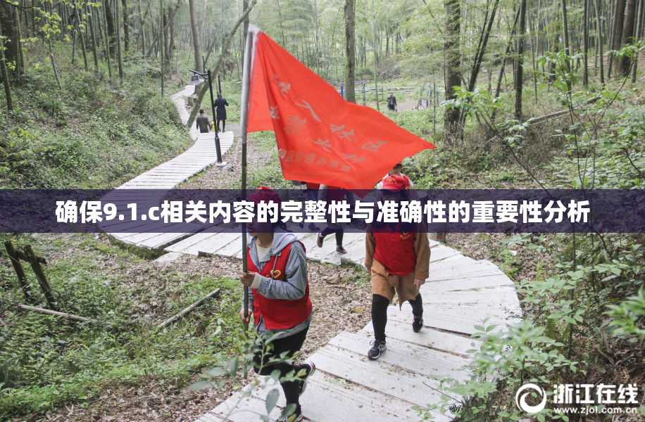确保9.1.c相关内容的完整性与准确性的重要性分析