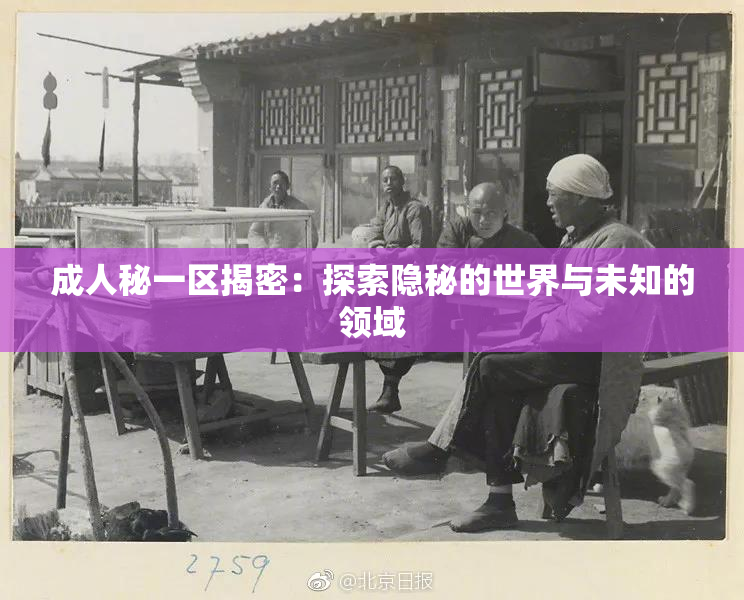 成人秘一区揭密：探索隐秘的世界与未知的领域
