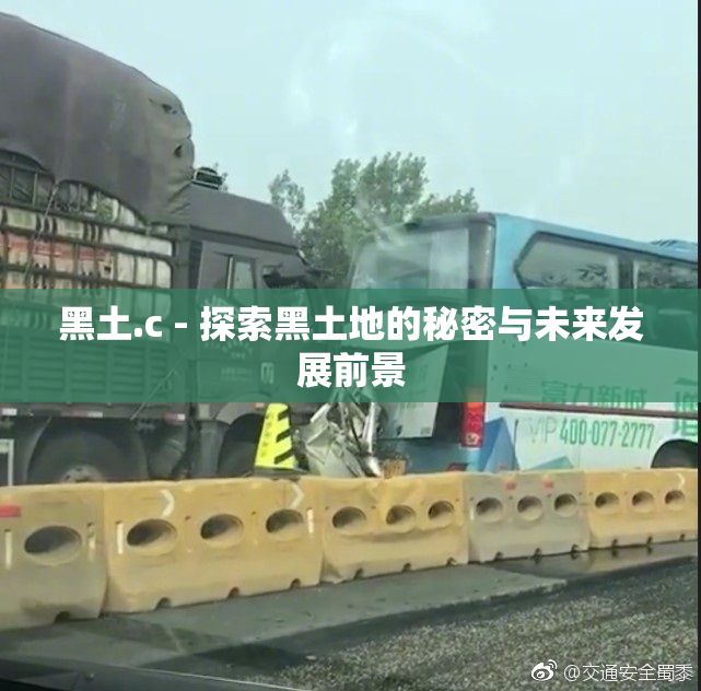 黑土.c - 探索黑土地的秘密与未来发展前景