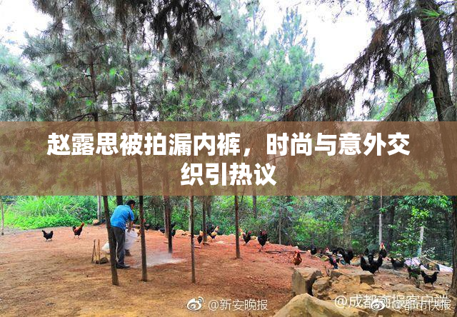 赵露思被拍漏内裤，时尚与意外交织引热议