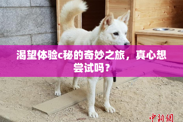 渴望体验c秘的奇妙之旅，真心想尝试吗？