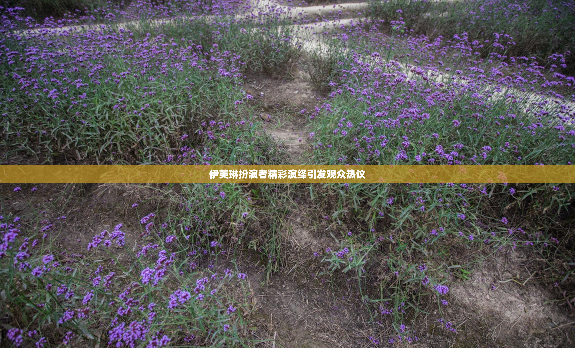 伊芙琳扮演者精彩演绎引发观众热议