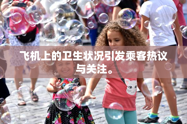 飞机上的卫生状况引发乘客热议与关注。