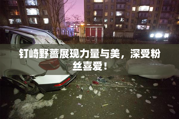 钉崎野蔷展现力量与美，深受粉丝喜爱！