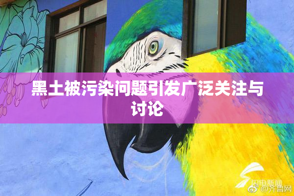 黑土被污染问题引发广泛关注与讨论