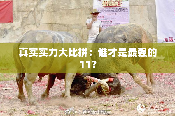 真实实力大比拼：谁才是最强的11？