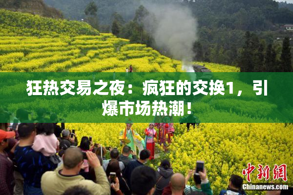 狂热交易之夜：疯狂的交换1，引爆市场热潮！