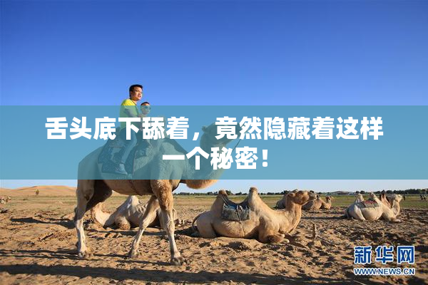 舌头底下舔着，竟然隐藏着这样一个秘密！