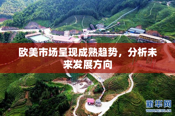 欧美市场呈现成熟趋势，分析未来发展方向