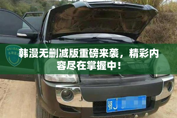 韩漫无删减版重磅来袭，精彩内容尽在掌握中！