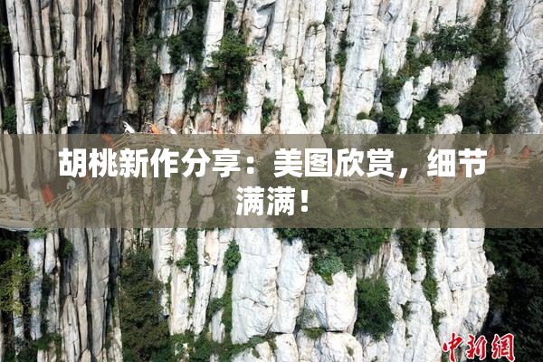 胡桃新作分享：美图欣赏，细节满满！
