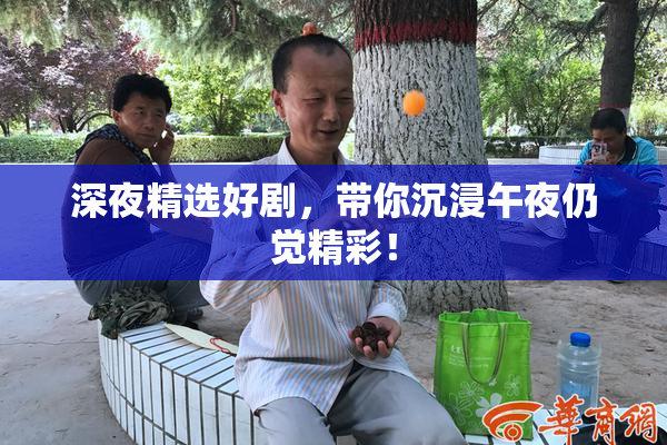深夜精选好剧，带你沉浸午夜仍觉精彩！