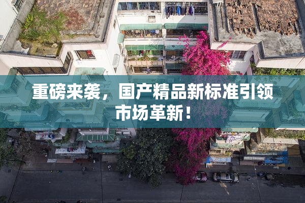 重磅来袭，国产精品新标准引领市场革新！