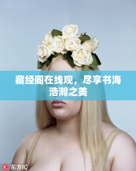 藏经阁在线观，尽享书海浩瀚之美