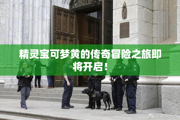精灵宝可梦黄的传奇冒险之旅即将开启！