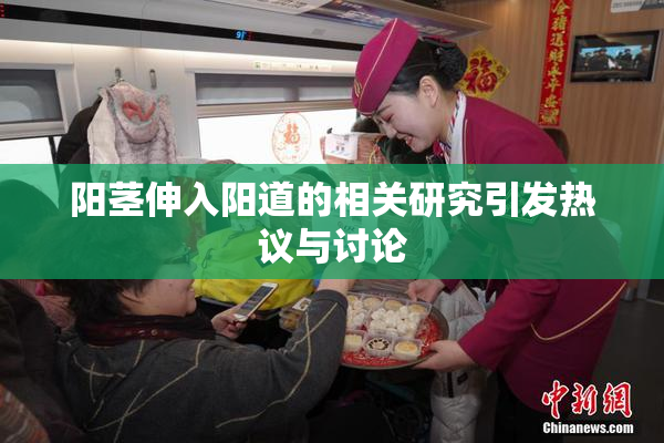 阳茎伸入阳道的相关研究引发热议与讨论
