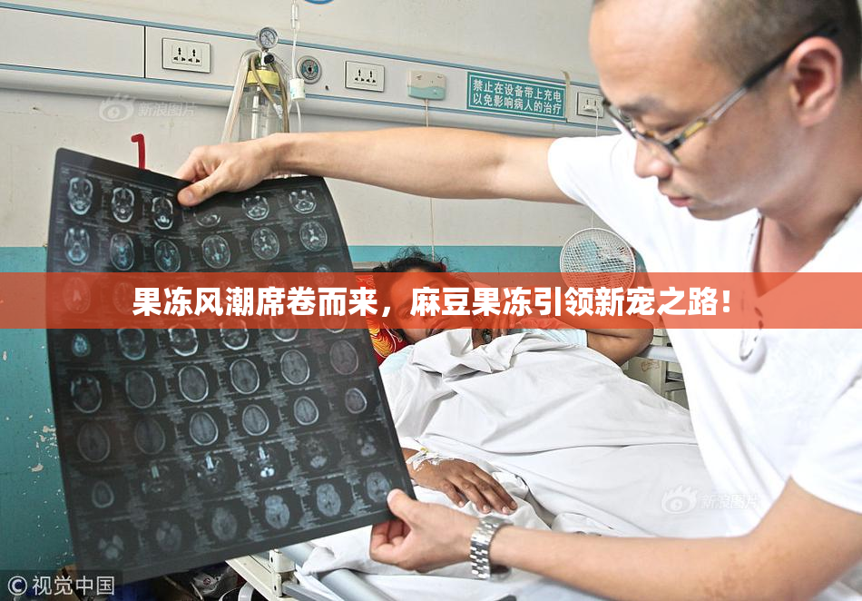 果冻风潮席卷而来，麻豆果冻引领新宠之路！