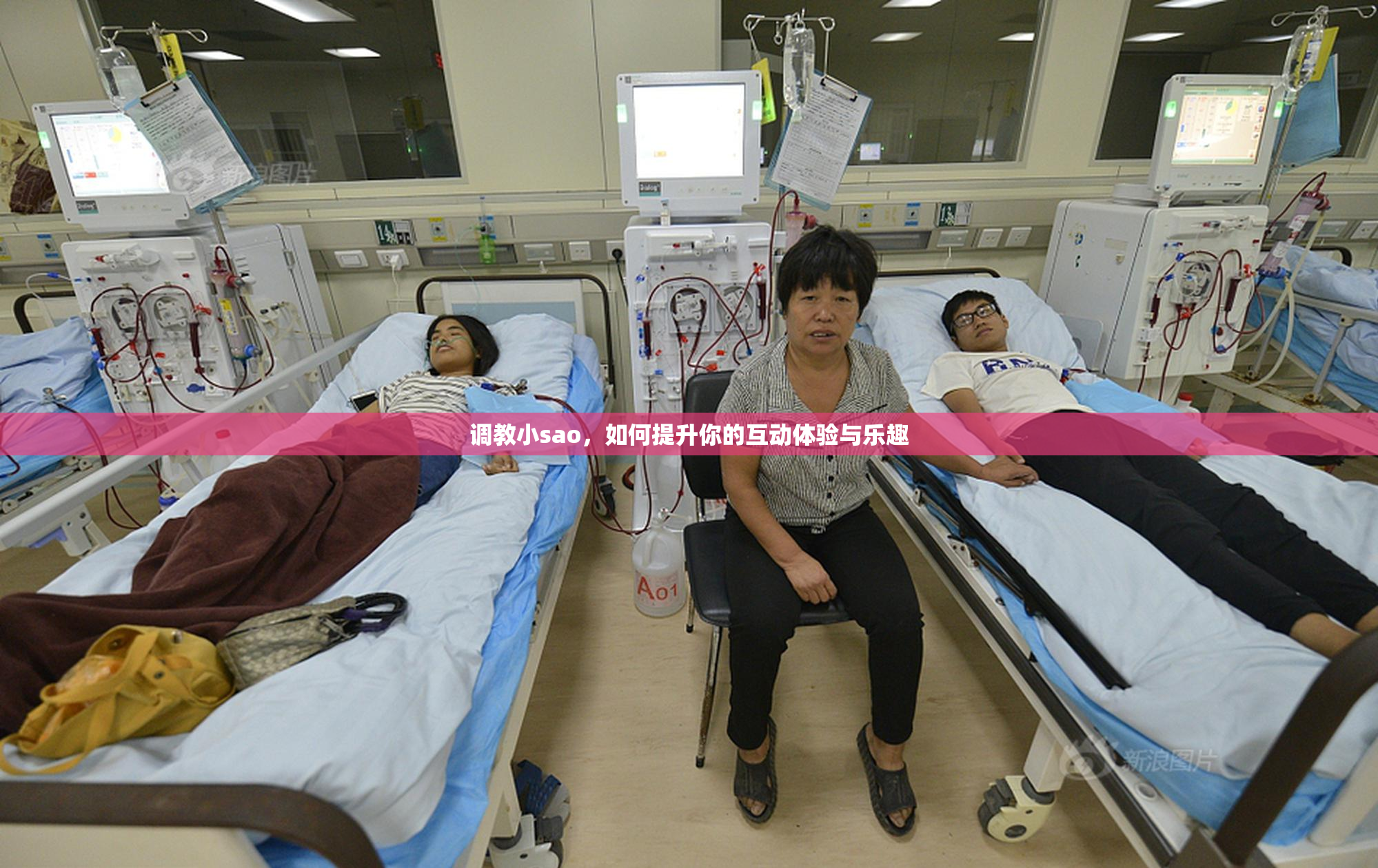 调教小sao，如何提升你的互动体验与乐趣
