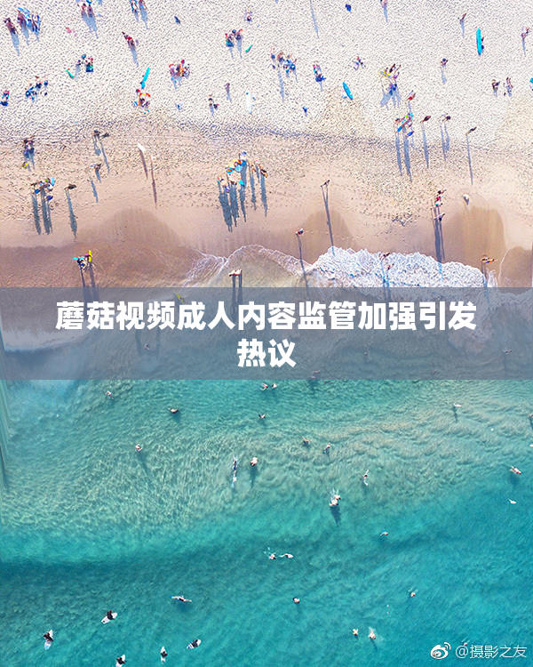 蘑菇视频成人内容监管加强引发热议