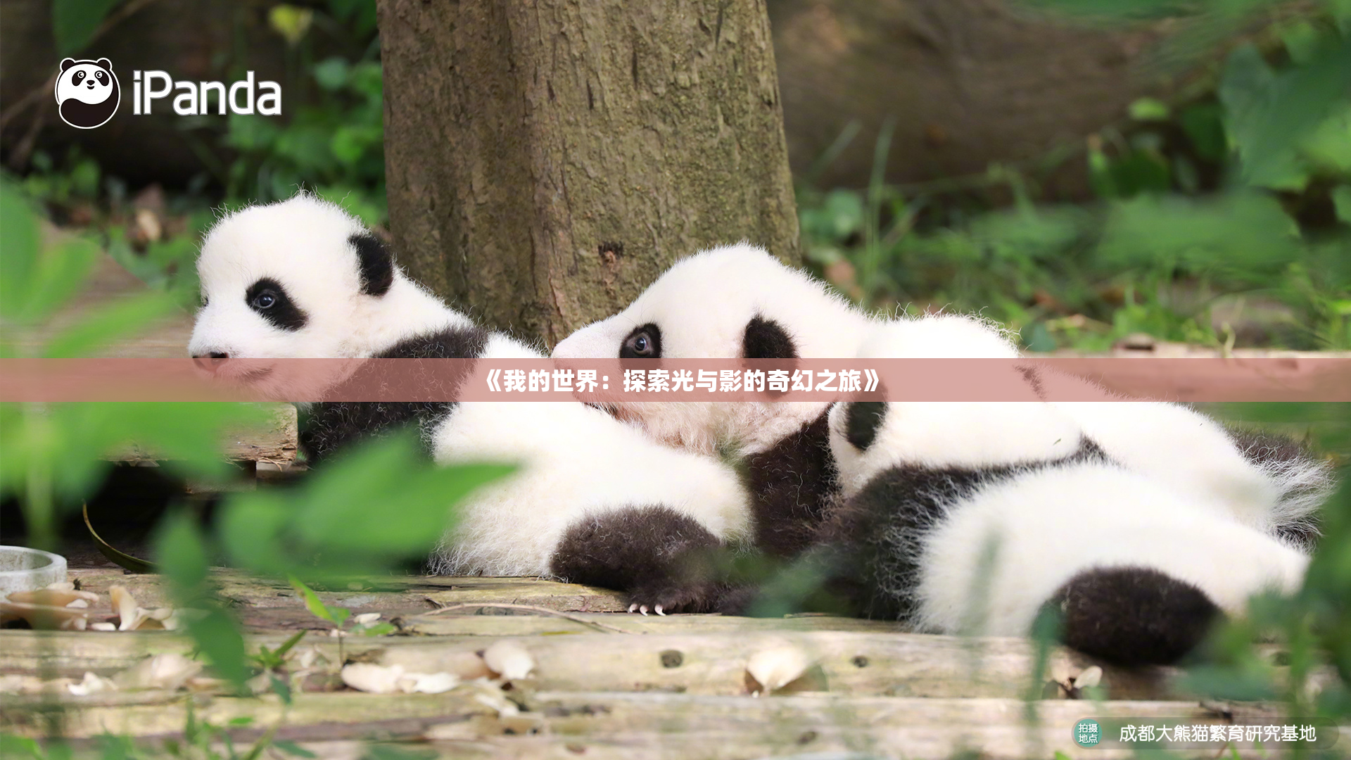 《我的世界：探索光与影的奇幻之旅》