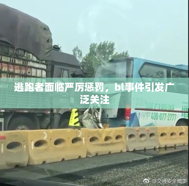 逃跑者面临严厉惩罚，bl事件引发广泛关注
