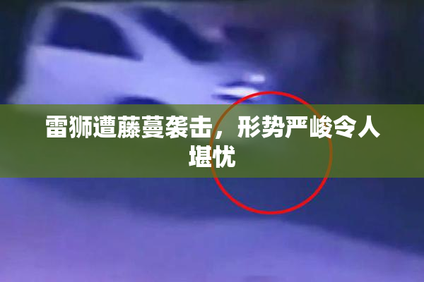 雷狮遭藤蔓袭击，形势严峻令人堪忧