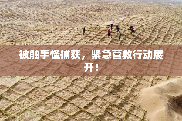 被触手怪捕获，紧急营救行动展开！