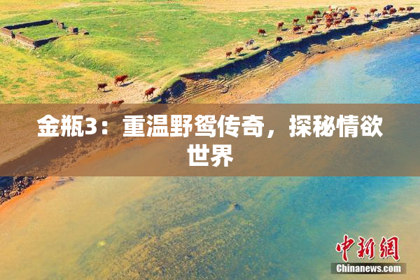 金瓶3：重温野鸳传奇，探秘情欲世界