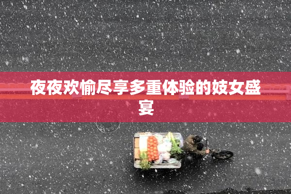 夜夜欢愉尽享多重体验的妓女盛宴