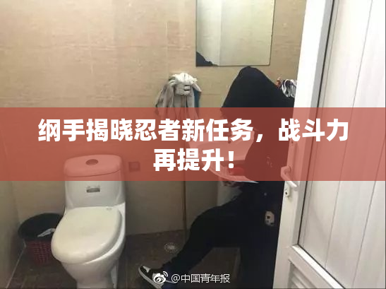 纲手揭晓忍者新任务，战斗力再提升！