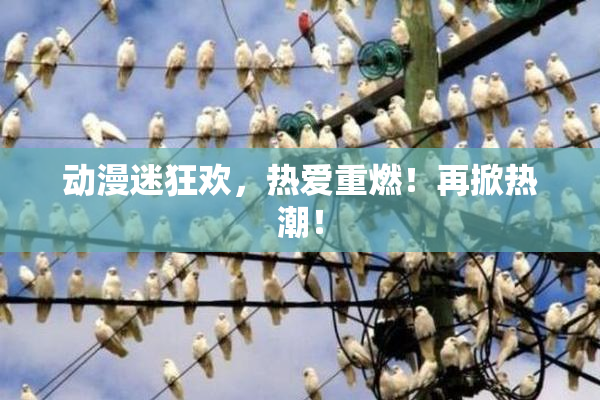 动漫迷狂欢，热爱重燃！再掀热潮！