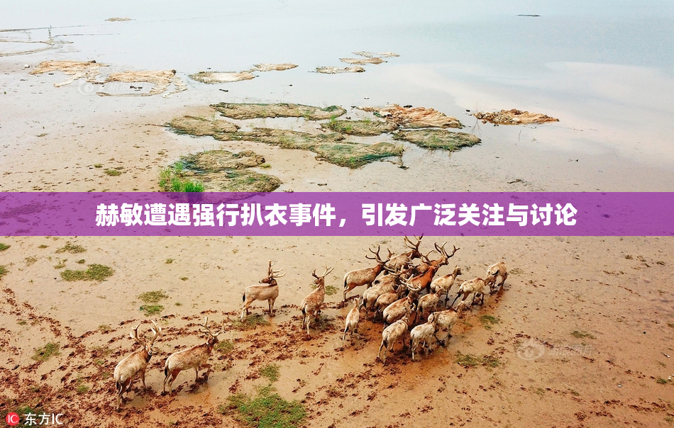 赫敏遭遇强行扒衣事件，引发广泛关注与讨论