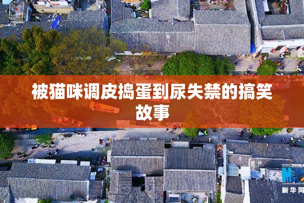 被猫咪调皮捣蛋到尿失禁的搞笑故事